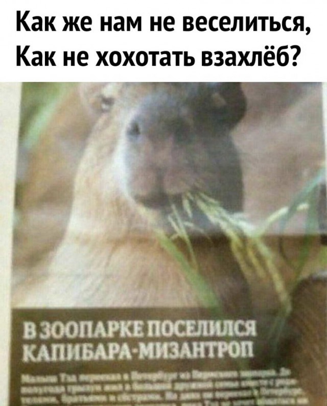 Бредзона 08.05.20