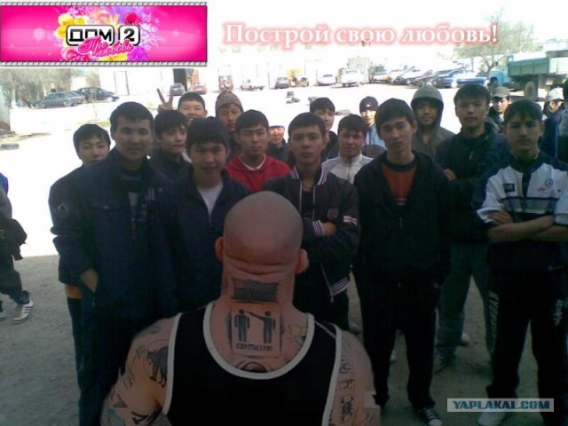 Фотожаба: ТВ программа