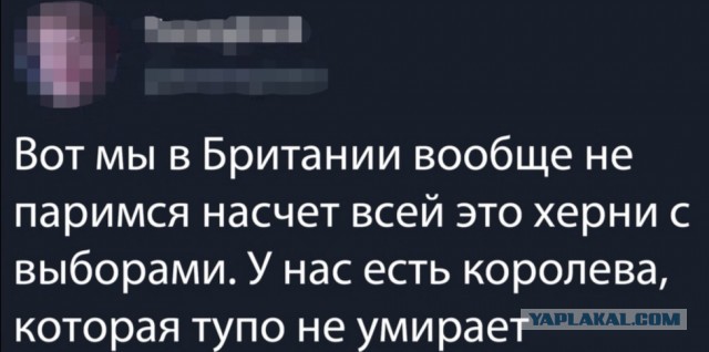 Немного картинок для настроения 07.11.20