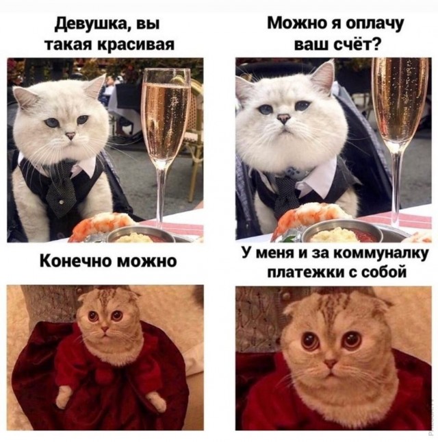 Картинки и мемы для настроения 019