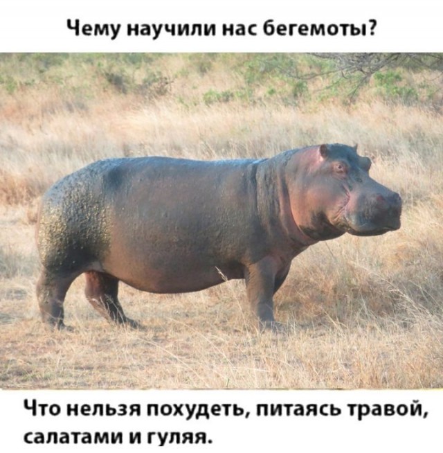 Так себе картинки 04.09.21