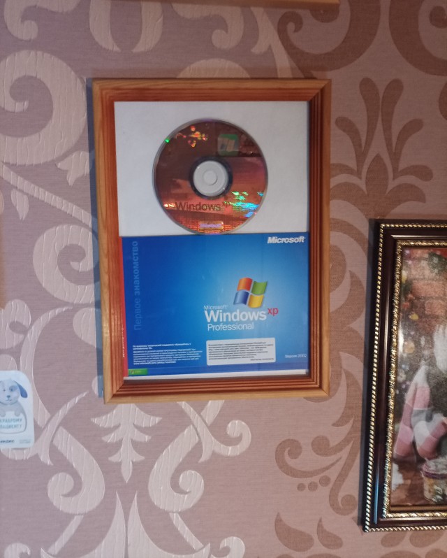 Windows XP исполнилось 20 лет