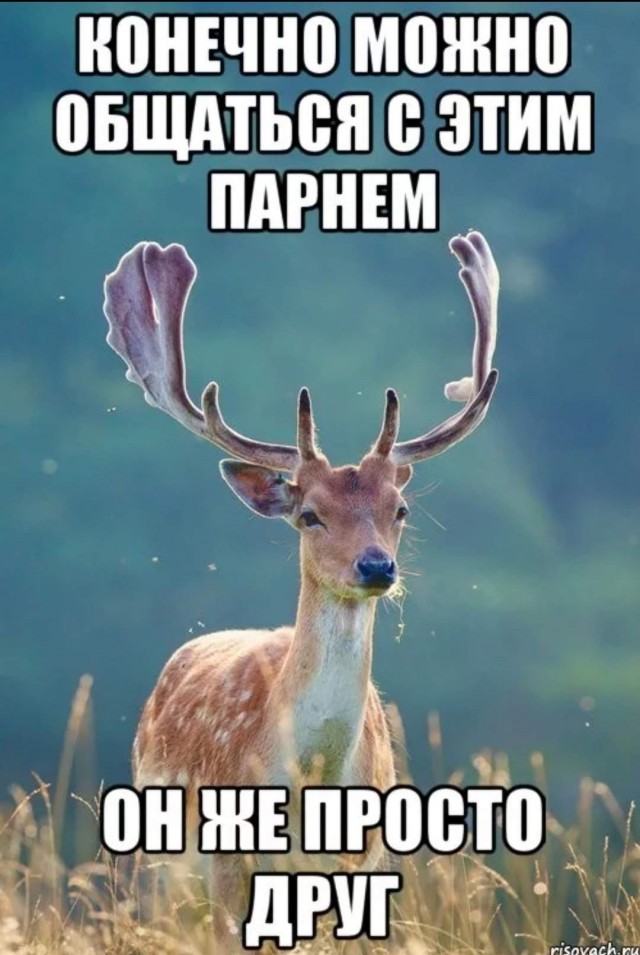 Почему мы изменяем? Отвечают сами женщины!