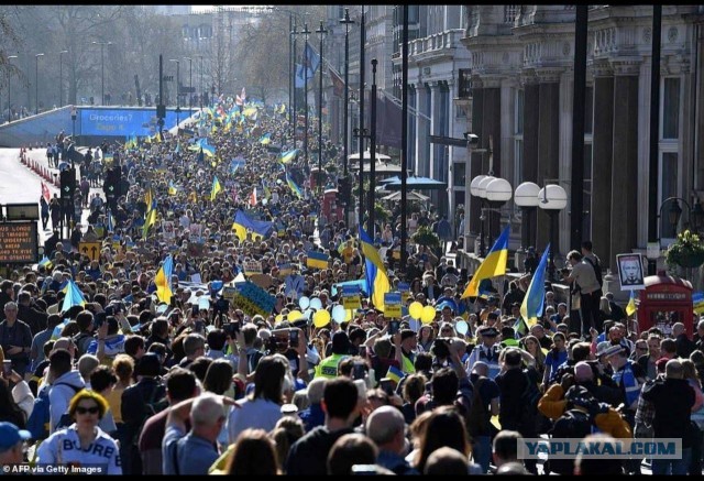 Столица Австрии, украинские бешенцы скачут. Наши дни