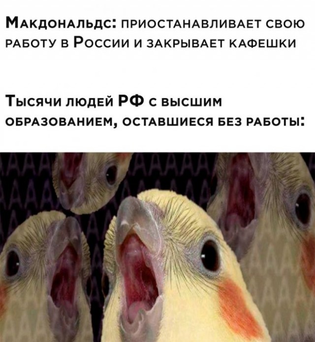 Картинки и мемы, всем отличных выходных