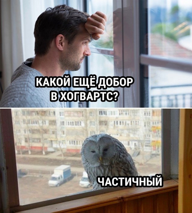 Так себе картинки 05.10.22