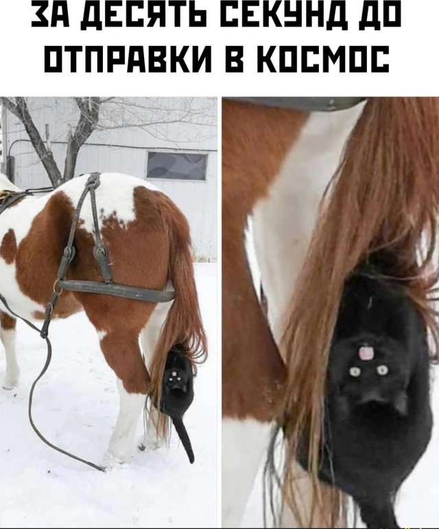 Всего понемногу. От 04.04.