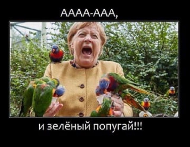 Картинки и мемы для настроения - 187