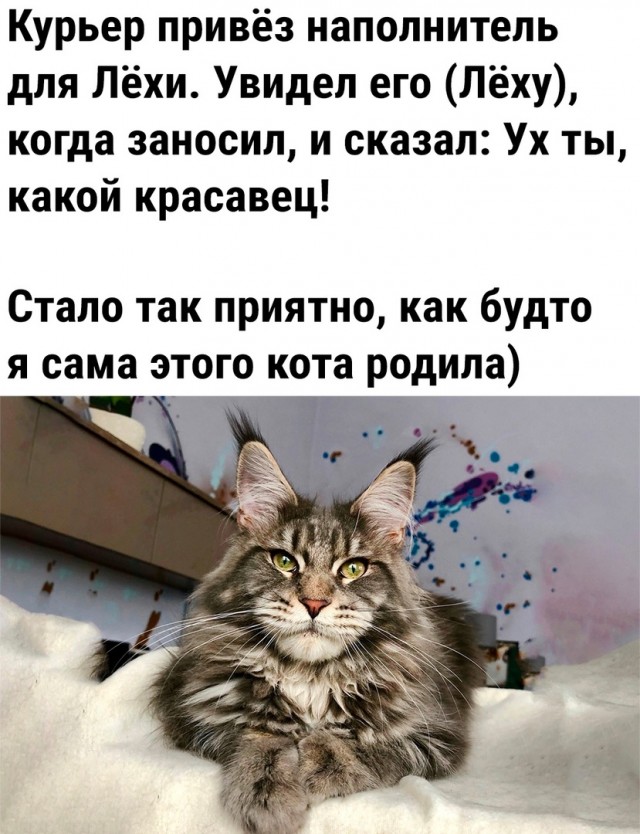 Так себе картинки 20.07.23