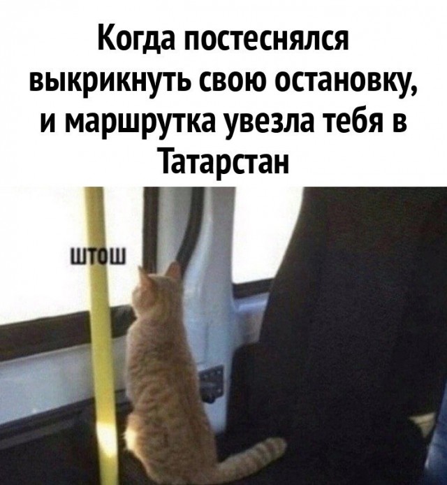 Юмор в картинках и без