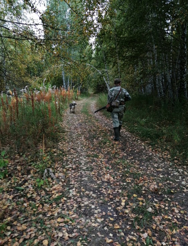 Краски осени