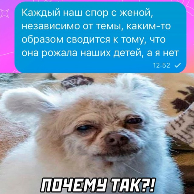 Весёлый полтишок 19.11.23