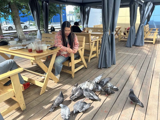 Голуби - это еда