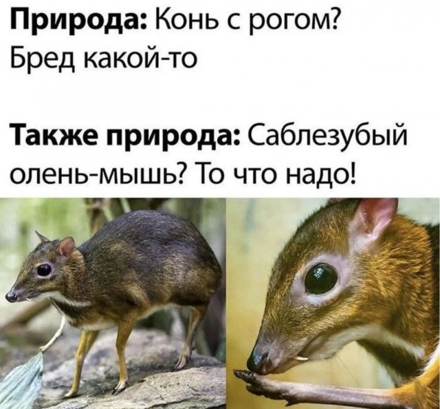 Завалялось тут случайно немного забавных картинок