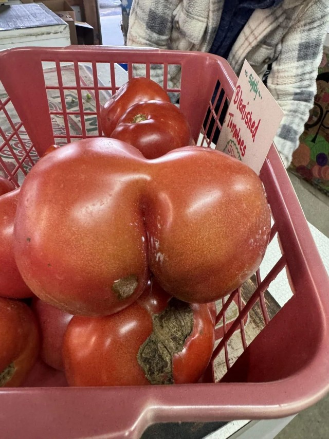 ФотоВинегрет