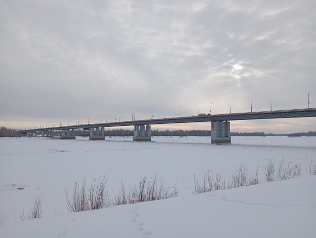 Чудо природы в Барнауле