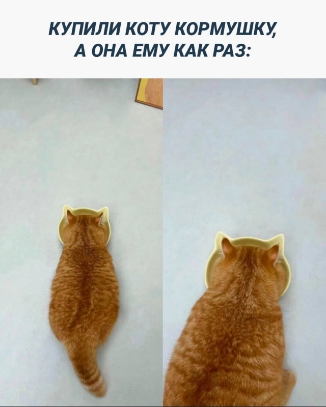 Завалялось тут случайно немного забавных картинок
