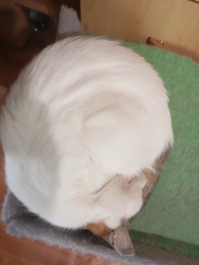 Идеальный круг)