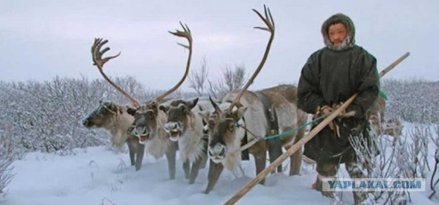На месте «Большой глины № 4» у ГЭС-2 устаналивают лопатку
