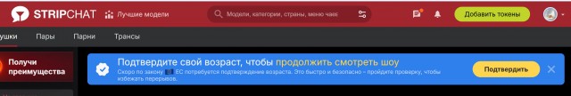В России предложили ввести идентификацию по паспорту для доступа к контенту 18+