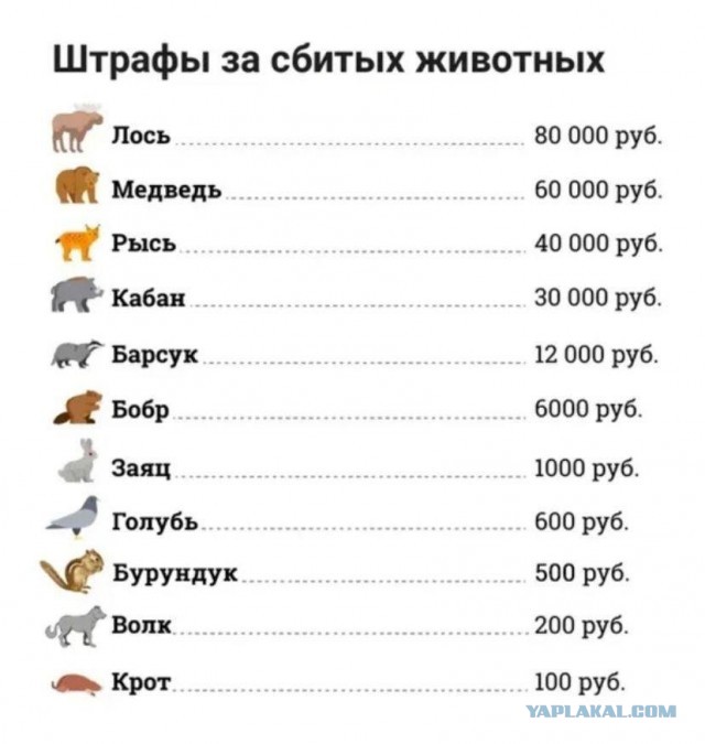 Попал по полной