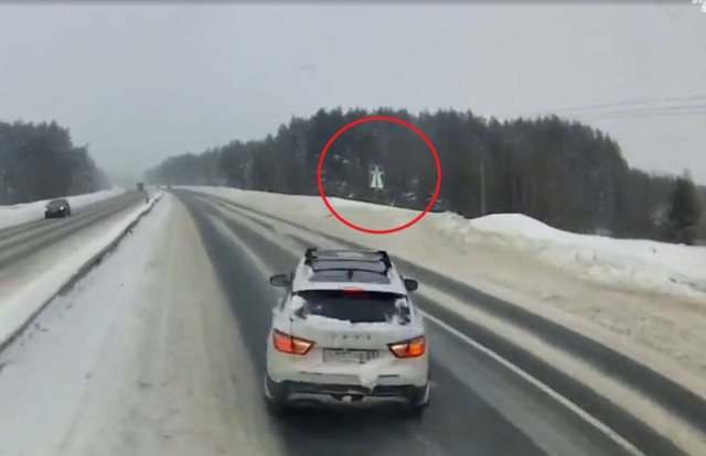 Мадам пропустила поворот, решила сдать назад.