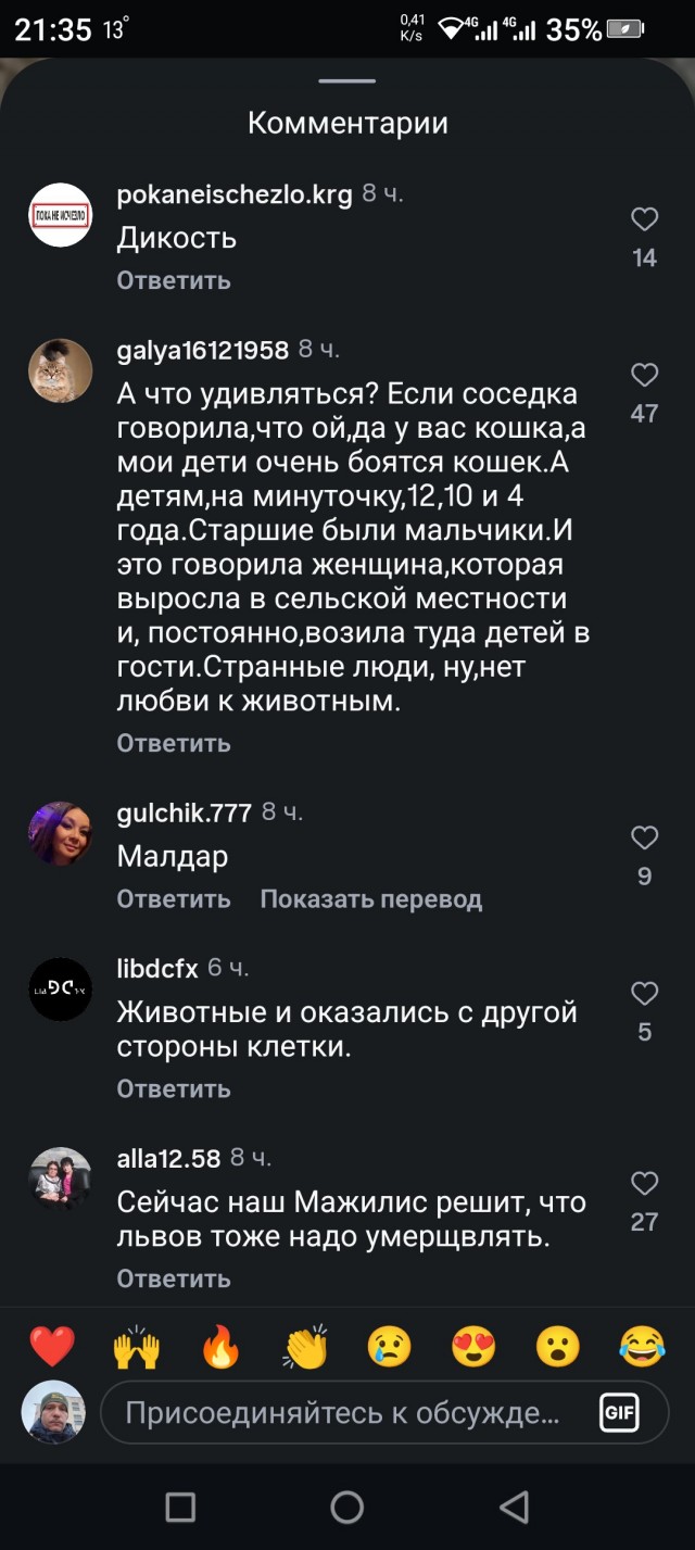 Питекантропы против больших кошек в Казахстане