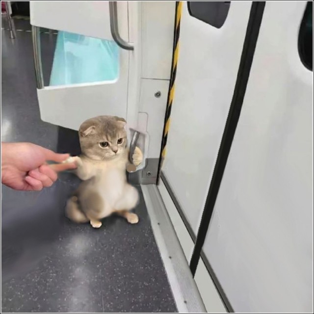 Для кого этот поручень?