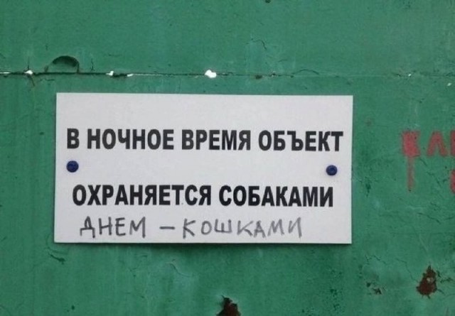 Картинки для деградации 307 (разной степени свежести)