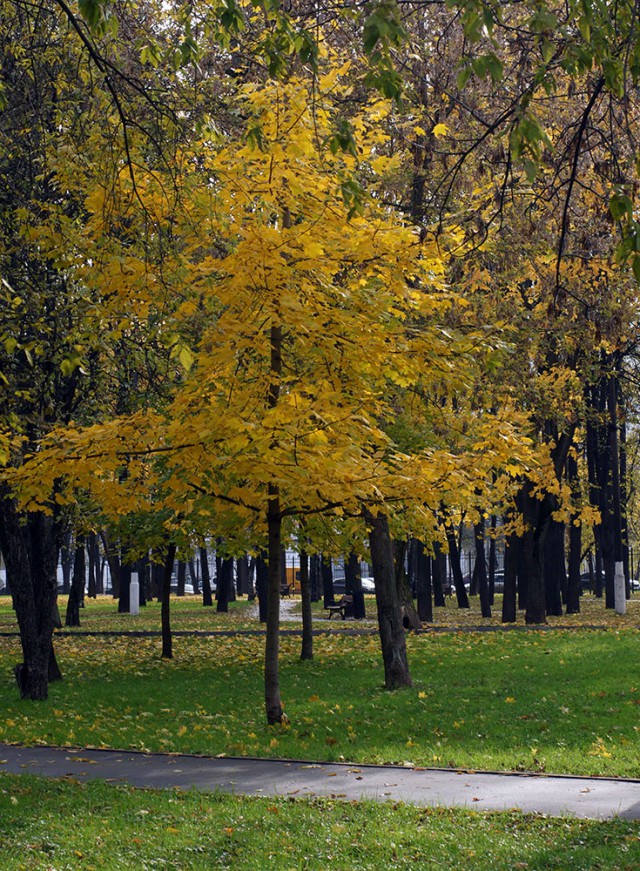 Перовский парк