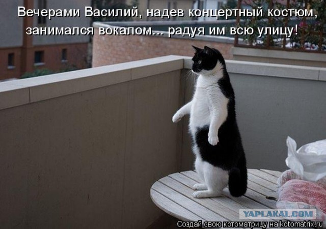 Поднимаем настроение