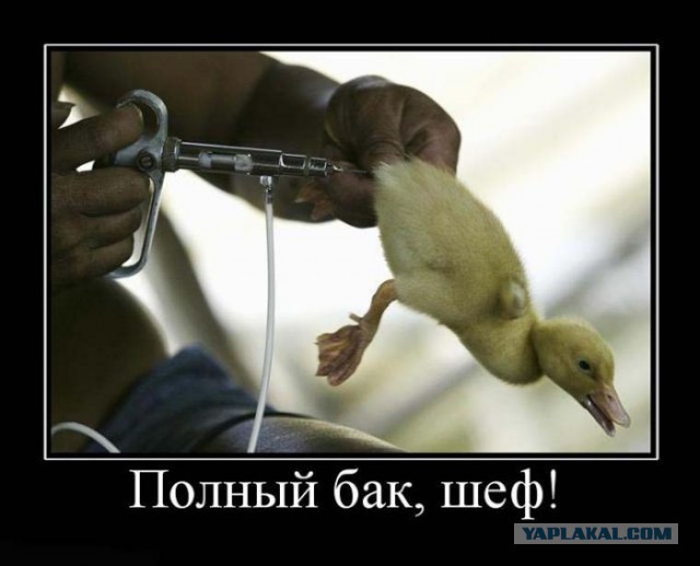 Веселые картинки.
