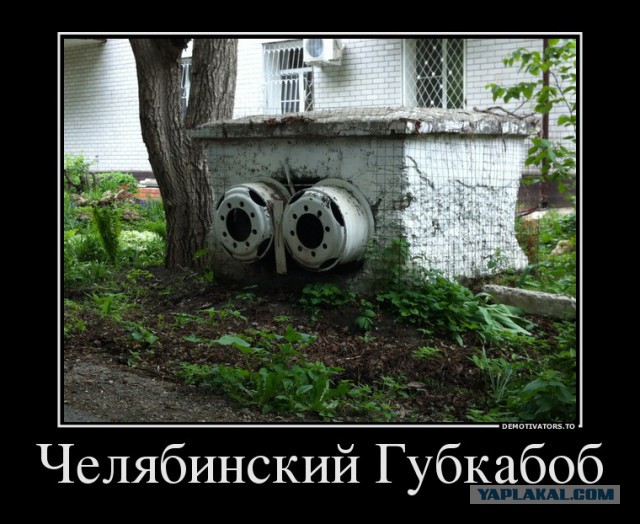 Демотиваторы дня