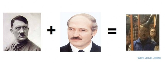 Неожиданная встреча