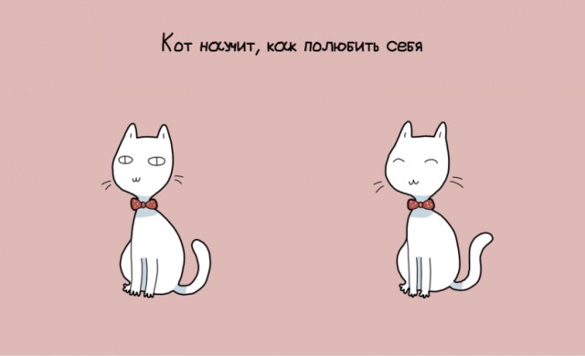 10 преимуществ котовладельцев :)