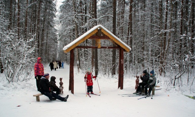 Зимнее безумие
