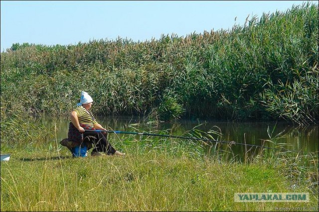 Симпатичные рыбачки