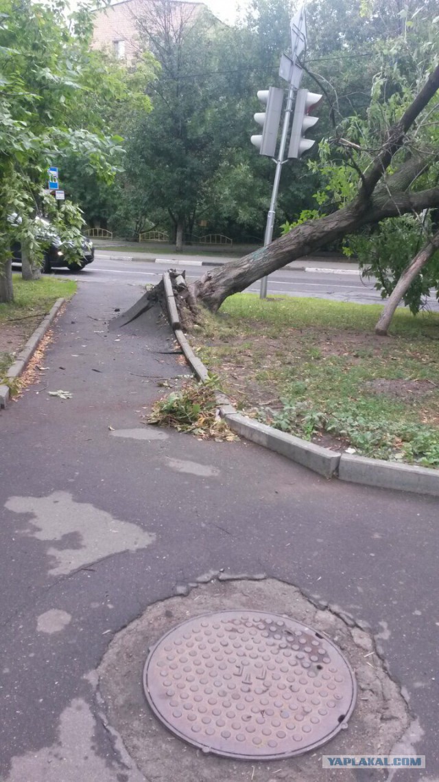 Сильная гроза в Москве и ее последствия
