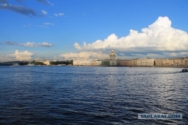 11 причин, чтобы бросить всё и переехать в Петербург