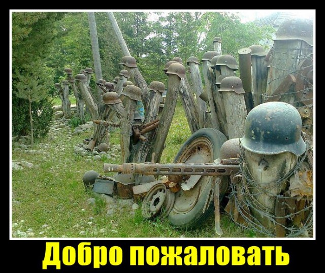 Картинки ИЗ сети