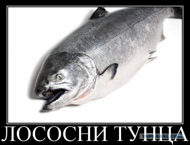Революция в России назначена на 12 июня