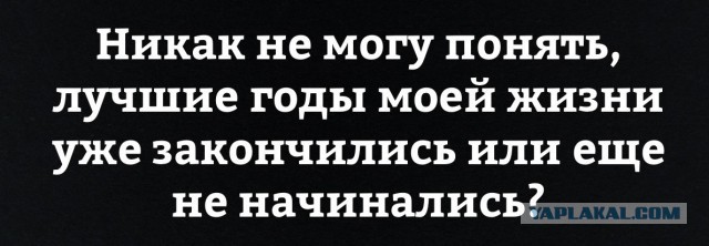 Точка бифуркации пройдена...