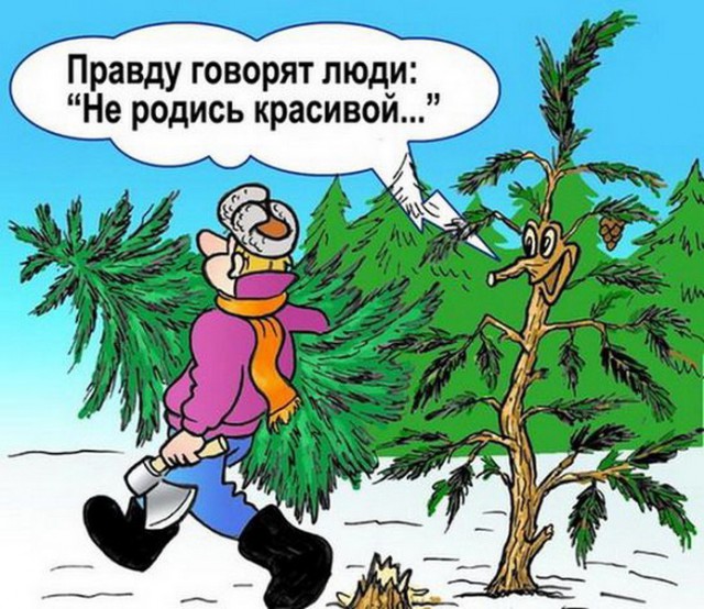 Смешные комментарии и картинки на новогоднюю и околоновогоднюю тематику. Часть 2