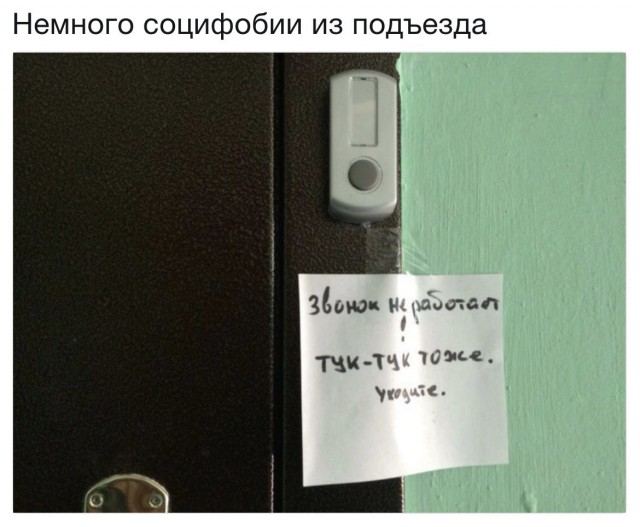 Смешних картинок с просторов
