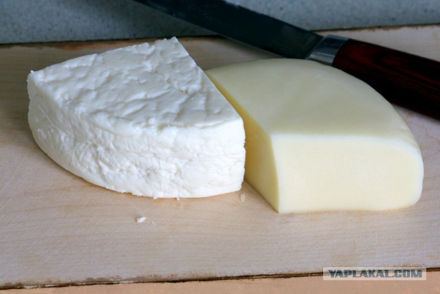 Кулинары поздравляют ЯП с днём рождения!