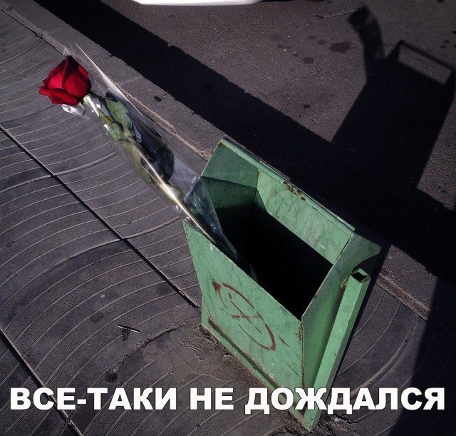 Прикольные картинки обо всем