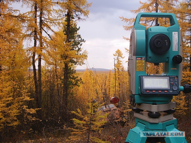 Командировка. В леса