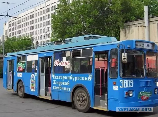 Просто кость широкая.