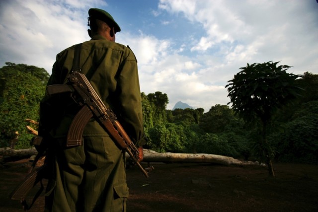 Убийство в Национальном парке Virunga (+18)