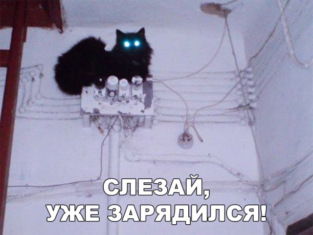 Немного милоты